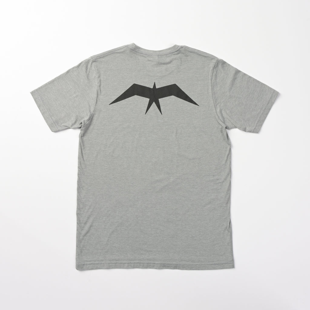 Triblend T-Shirt