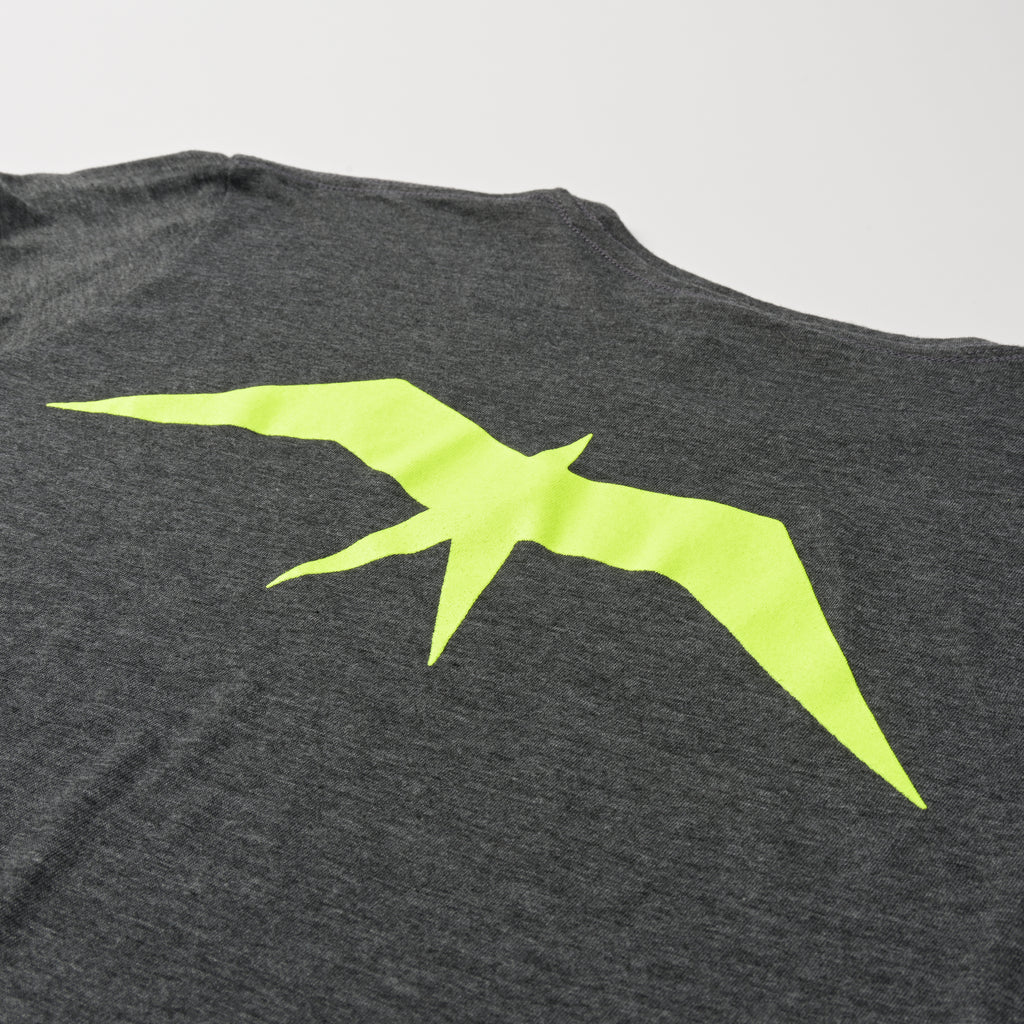 Triblend T-Shirt