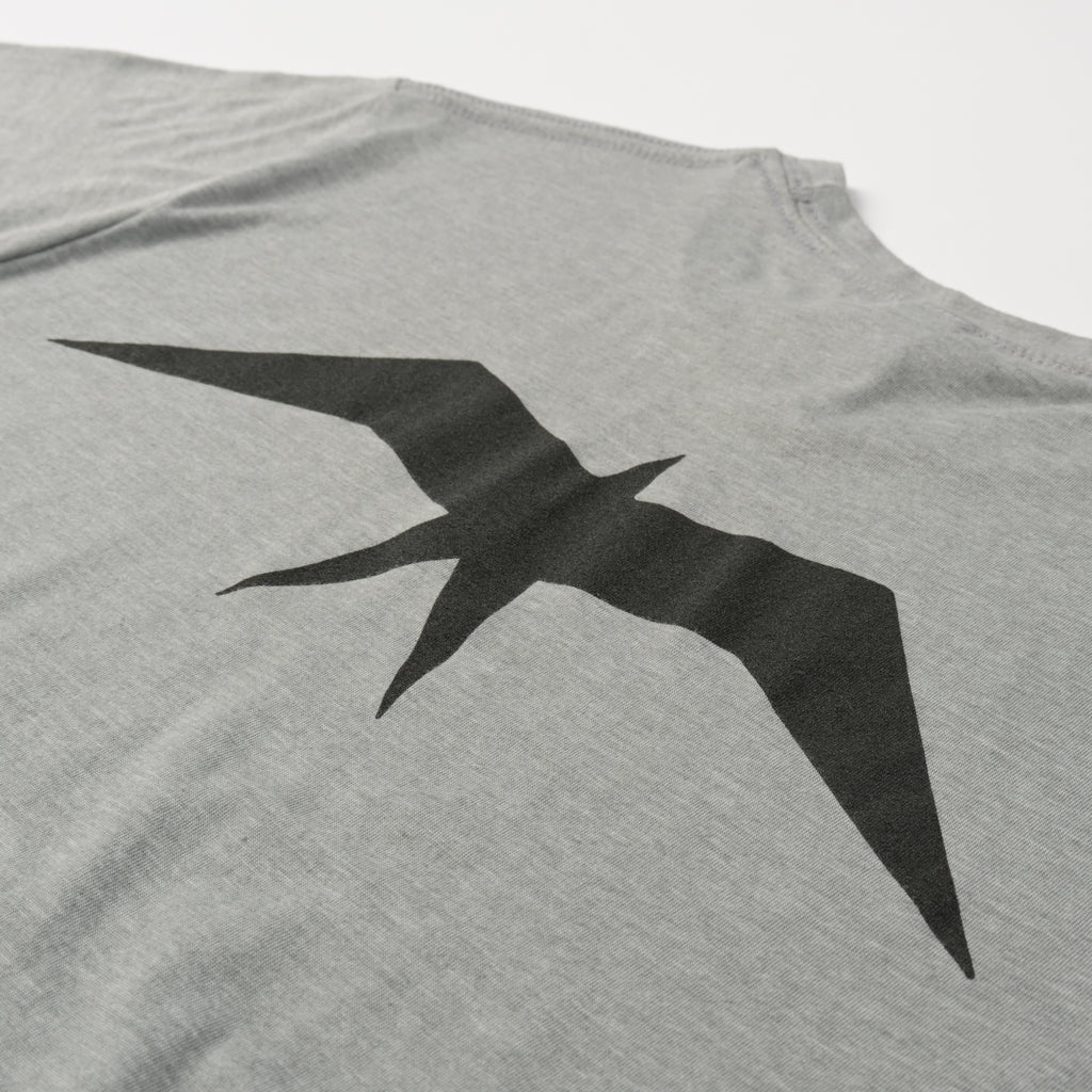 Triblend T-Shirt