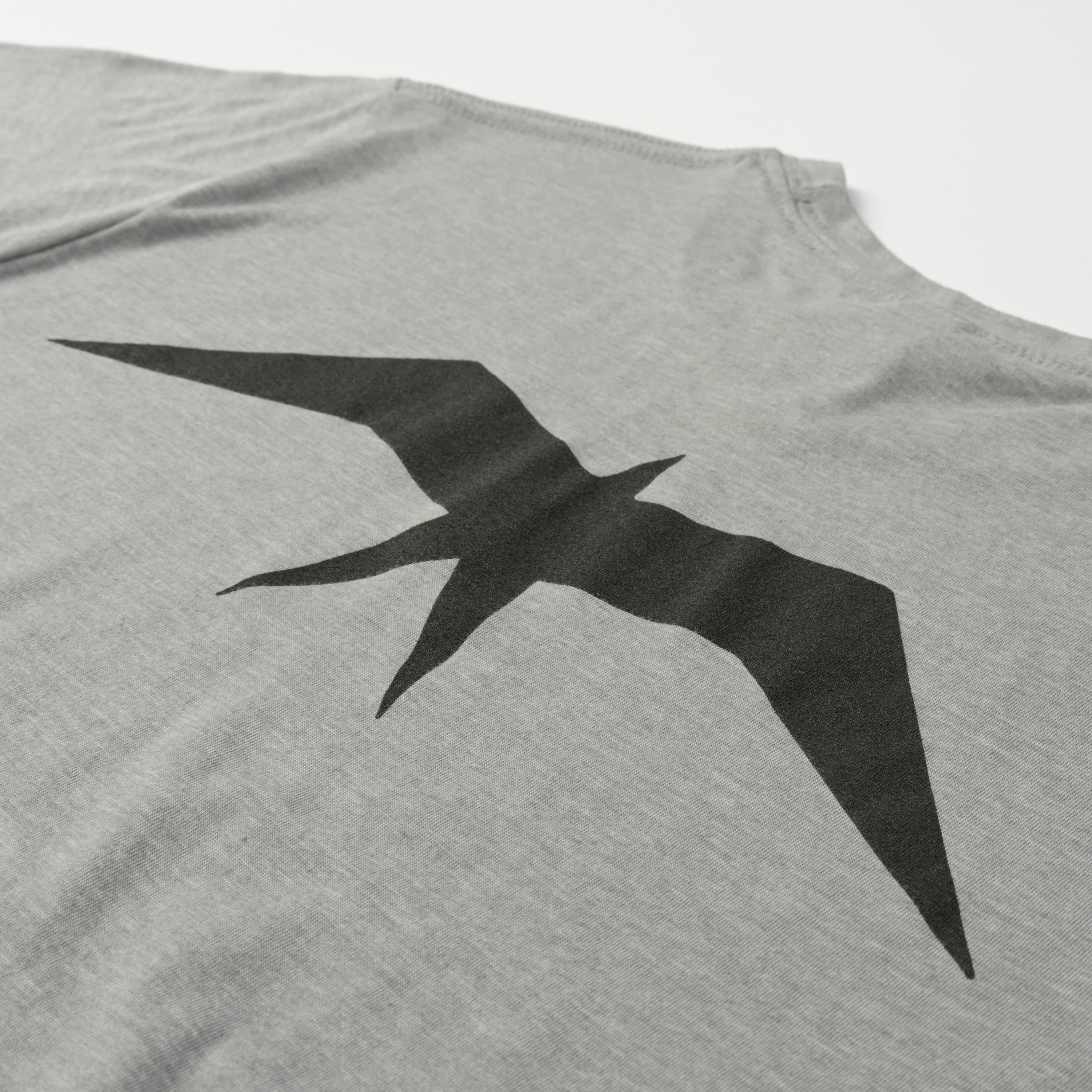 Triblend T-Shirt